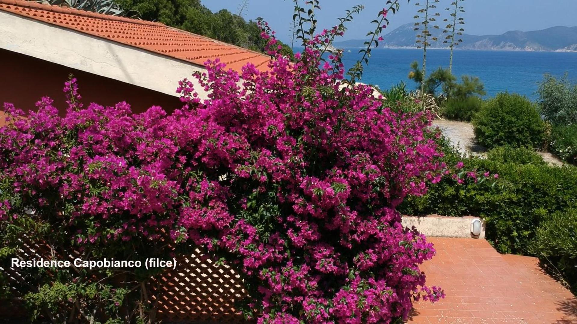 Residence Capobianco Portoferraio Exterior foto